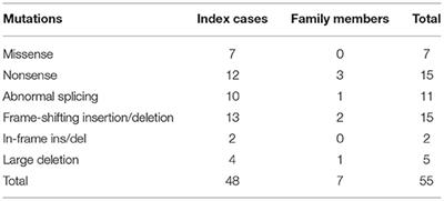 Genotype and Phenotype Analysis in X-Linked Hypophosphatemia